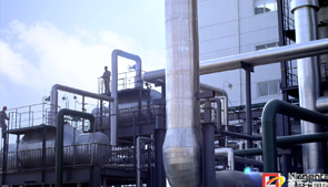 金正大廣告--實力篇