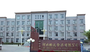 鵬達(dá)食品宣傳片中文版